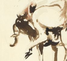 Zakkie Eloff; Impala; Wildebeest, two
