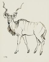 Zakkie Eloff; Kudu