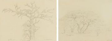 Jacob Hendrik Pierneef; Bushveld Trees, two