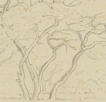 Jacob Hendrik Pierneef; Bushveld Trees, two
