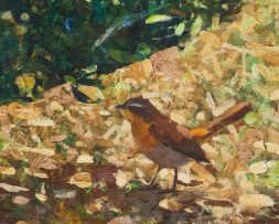 Dylan Lewis; Cape Robin and Sugarbush