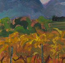 Philip Erskine; Groot Drakenstein Mountains, Autumn Storm