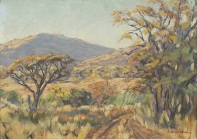 Stefan Ampenberger; Landscape, Northern Transvaal