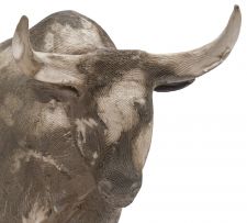 Phumlani Nyawo; Nguni Bull