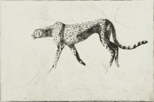 Susan Orpen; Cheetah
