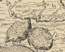 François Krige; Guinea Fowl in the Vineyard