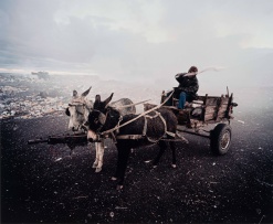 Mikhael Subotzky; Donkey Cart, Vaalkoppies (Beaufort West Rubbish Dump)