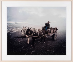 Mikhael Subotzky; Donkey Cart, Vaalkoppies (Beaufort West Rubbish Dump)