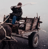 Mikhael Subotzky; Donkey Cart, Vaalkoppies (Beaufort West Rubbish Dump)